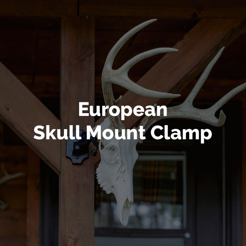 European Skull Mount Clamp